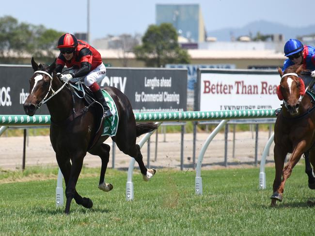 Winner of race 2 She's A Tigress ridden by Taylor Marshall at the Gold Coast Turf Club. (Photo/Steve Holland)