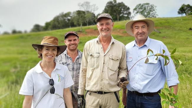 Liz Caddick, Dave Rawlings, Lindsay Murray and Peter Boyd. Byron Shire Council is appealing to farmers to consider planting koala food trees.