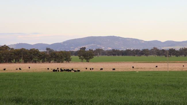 The Maybank farm was last listed for sale in 2020. Picture: File