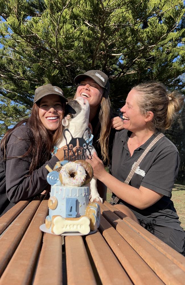 Mad Dogs and Englishmen Gold Coast North team members, Mariana Trevisan, 26, Giordana Perlin, 27 and franchise owner, Natalia Frizzo, 36, celebrate Jasper the French bulldog's fourth birthday during his doggy daycare session recently. Picture: instagram.com/maddogsnorthgoldcoast