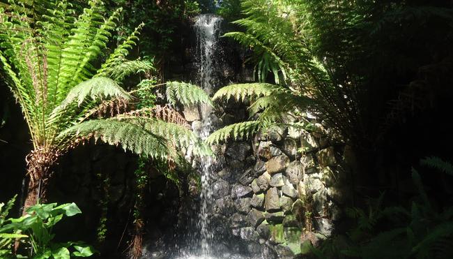 Waterfall at the Royal Botanic Gardens Melbourne. Picture: Joanne Vella