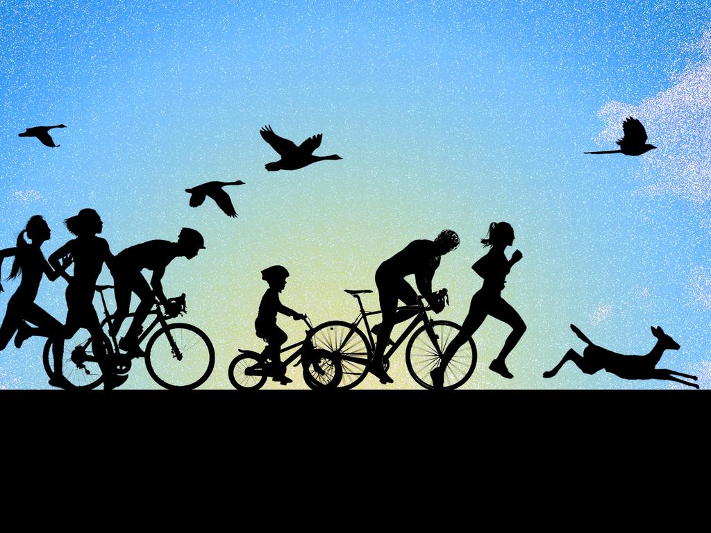 23 December 2024; A collage of people racing on their bikes and running, with birds flying in the sky in a black silhouette with the blue sky behind them. Artwork by Emilia Tortorella. Sources: iStock. Ratio 4:3.