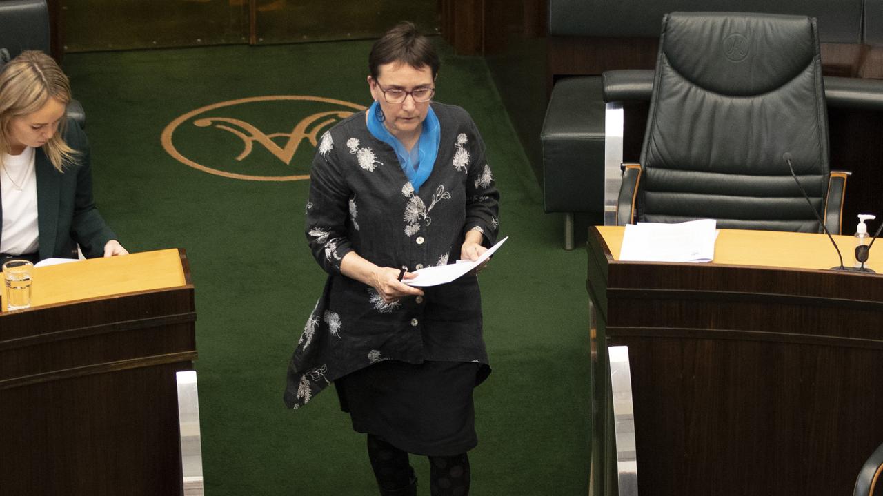 Greens member for Clark, Helen Burnet. Picture: Chris Kidd