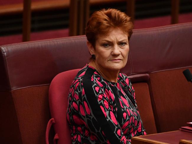 One Nation leader Senator Pauline Hanson. Picture: Mick Tsikas