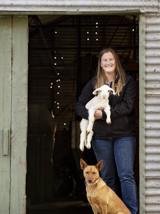 Ellie McDonald with White Suffolk lamb and Kelpie named Jess. Picture: Zoe Phillips