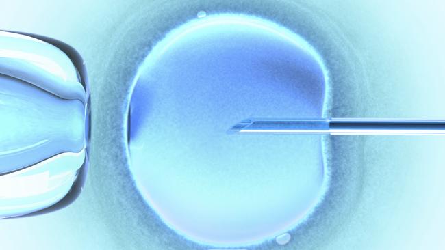 Generic image of an IVF needle in female egg.