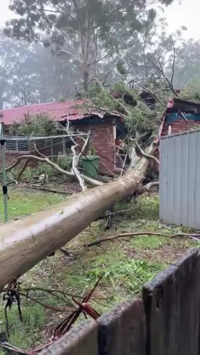 Tree falls into home outside Toowoomba