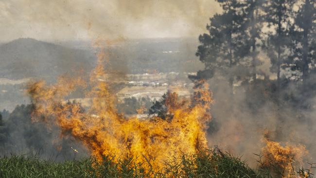 Firefighters are busy fighting a fire raging in bushland in Maudsland. Picture: Cam Neville / Aurora Photos