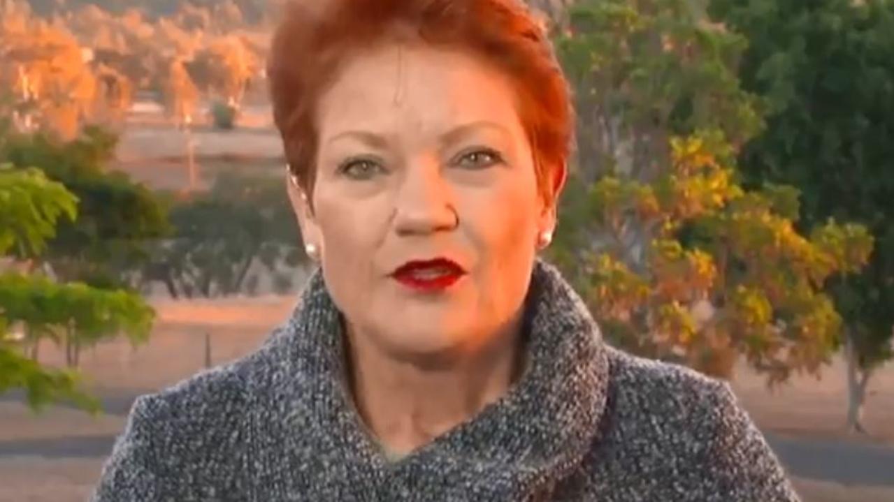 Pauline Hanson criticised the Uluru closure yesterday. Picture: Today Show