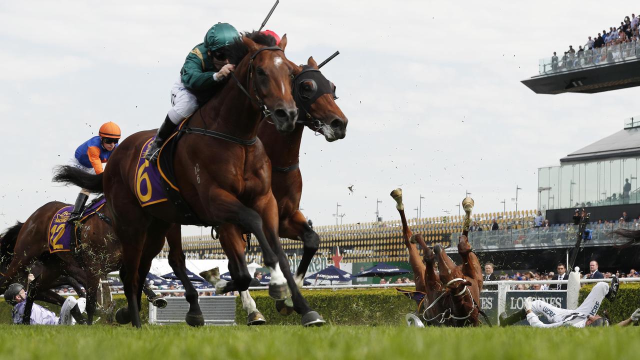 Persan was involved in a terrifying crash that also brought down War Baron at Randwick last year. (Photo by Mark Metcalfe/Getty Images)