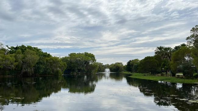 The ducks were found in Lake Lomandra at Robina. Picture: Sam Stolz