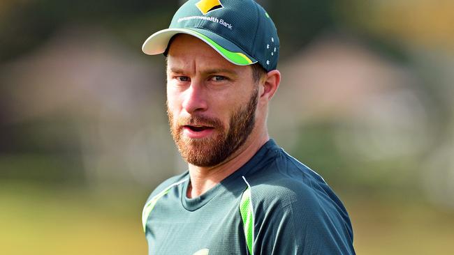 Can Matthew Wade save Australia? Picture: Zak Simmonds