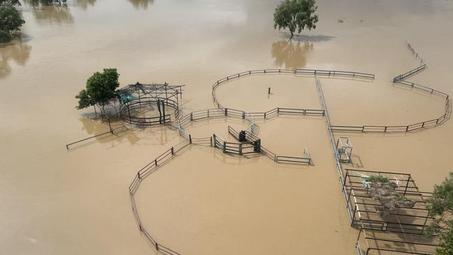 Floraville Station, a 94,000Ha property on the banks of the Leichardt River was under water on March 10 as record-breaking floods devastated the region. Picture: Supplied