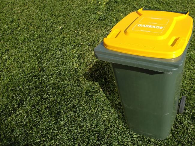 TA yellow bin for recyclables will continue under the council’s waste strategy.