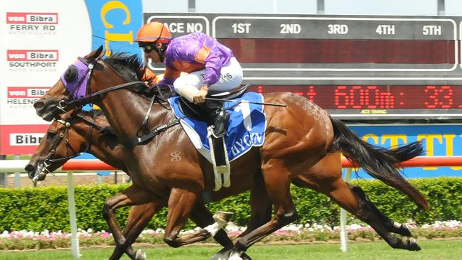 Jockey Nathan Thomas rides the Trevor Thomas-trained Atomic Missile (No.1) to victory over Miss Oratorio at the Gold Coast. Photo: Jessica Hawkins/Trackside Photography.