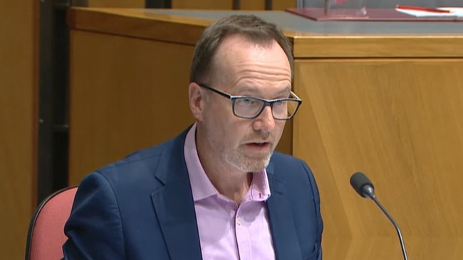 Greens Senator David Shoebridge appears at a Senate estimates hearing last year.