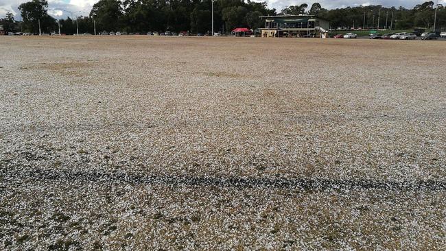 Hail at Pinks Reserve on Saturday. Picture: Supplied