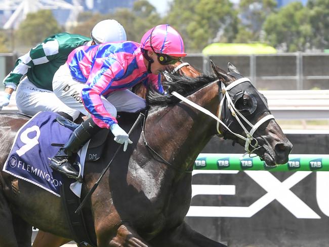 Thedoctoroflove ridden by Daniel Moor wins the National Jockeys Trust Trophy at Flemington Racecourse on January 11, 2025 in Flemington, Australia. (Photo by Brett Holburt/Racing Photos via Getty Images)