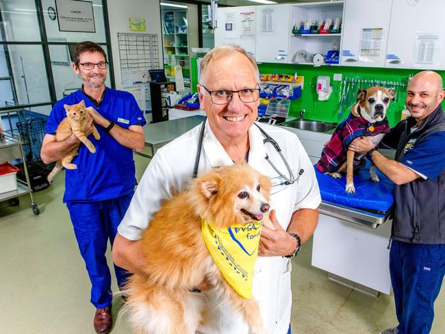 (left to right) Veterinarian Internal Medicine Specialist Dr Darren Fry with Bean, Small Animal Surgery Oncologist Dr Rod Straw with Molly, and Veterinarian Radiation Oncologist Dr Elias Gumpel with Laila pose for a photograph at Brisbane Veterinary Specialist Centre, Albany Creek - Picture: Richard Walker