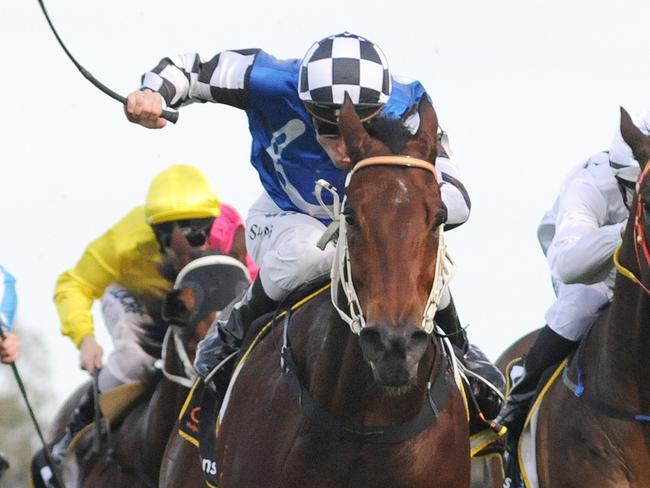 Photographer: Simon Bullard. Race 5 CELLARBRATIONS HANDICAP (3YO&UP BM85) - 1100m. Winner 'Brook Road' ridden by Blake Shinn.