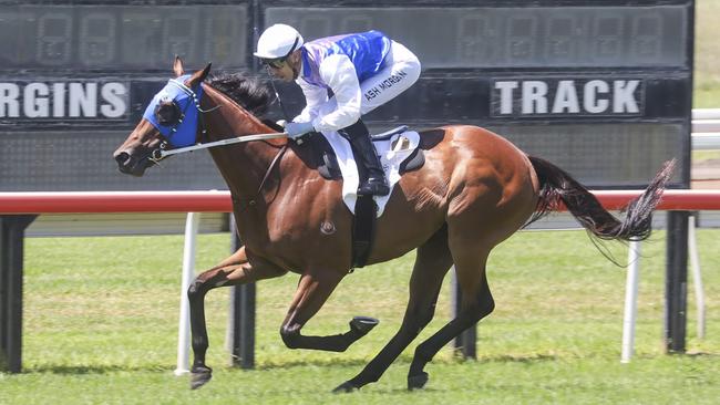 Eclair Vitality, pictured winning at Scone on February 17, is Shayne O'Cass's best bet of the day at Port Macquarie on Monday. Picture: Bradley Photos