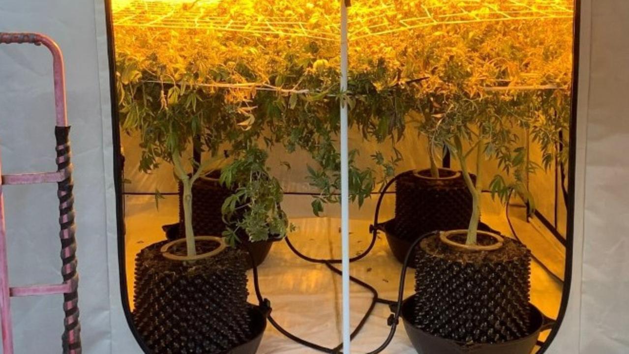 Police conducting search warrants during Operation Taipan Three on August 11, 2022, uncovered a hydroponic cannabis growing operation at a Tewantin home. Picture: Contributed