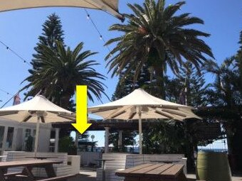 Location of the proposed outdoor kitchen indicated by the arrow. Picture: Randwick Council