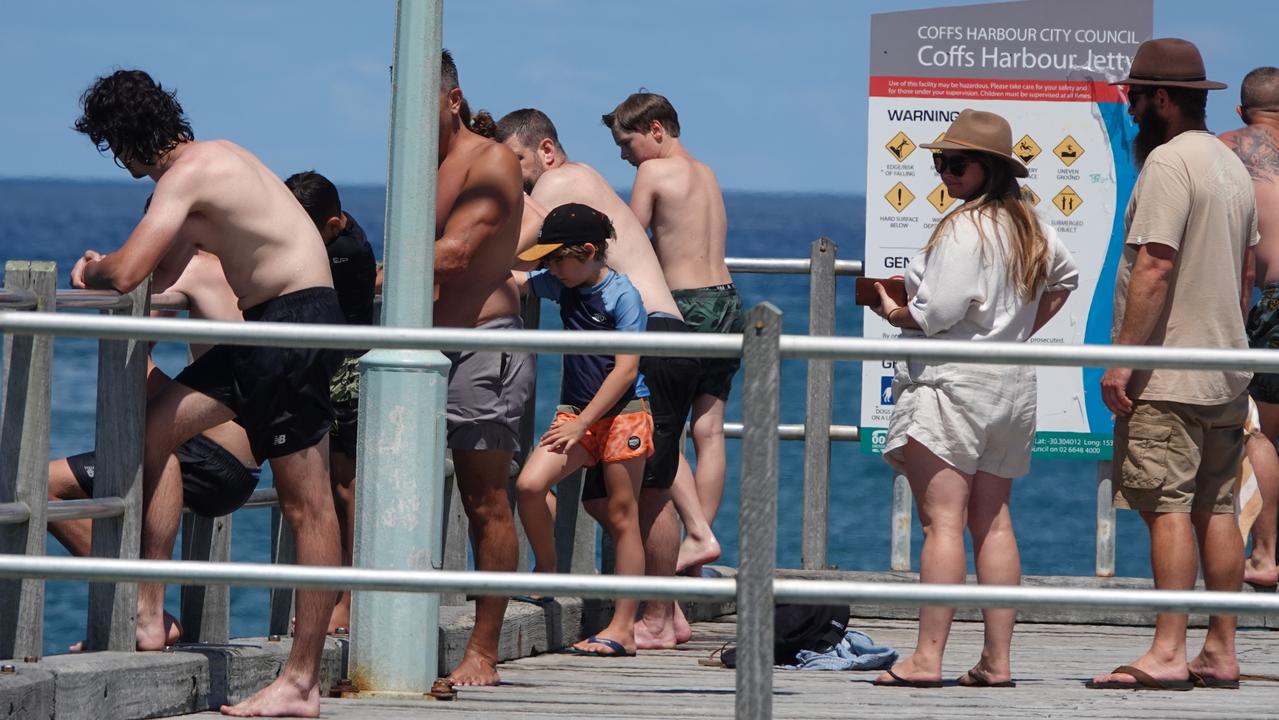 The holding pen as jumpers eye-off the challenge. Picture: Chris Knight