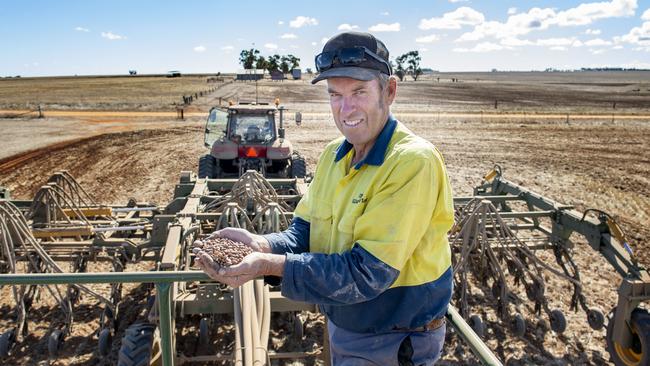 Up and running: Colin Coates shows faba beans he began sowing on Monday at his St Arnaud farm, where he has already planted vetch, clover and lucerne. Picture: Zoe Phillips