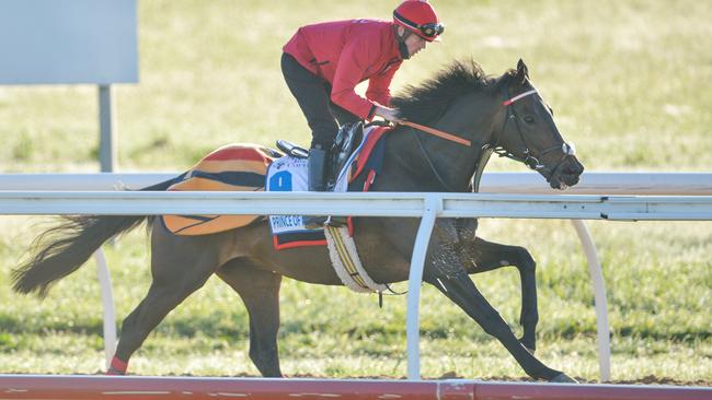 Aled Beech on Prince of Arran at Werribee trackwork on Monday. Picture: Reg Ryan/Racing Photos via Getty Images