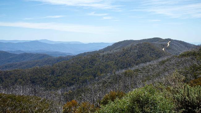 Remains have been found in Victoria’s high country. File picture: Mark Stewart