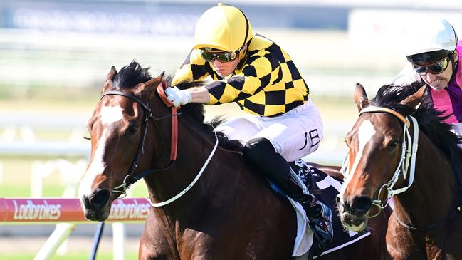 Miracle Of Love winning at Doomben. Picture: Grant Peters/Trackside Photography