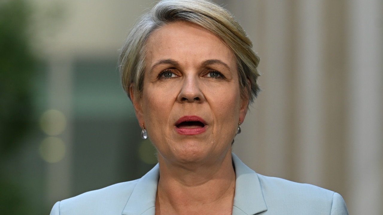 Tanya Plibersek defends her parliamentary expenditure as fourth-highest spender