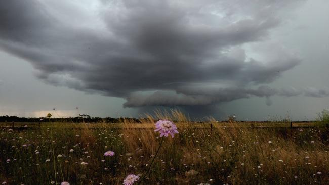 Summer thunderstorms brought big rainfall totals across regional Victoria in January before towns in the west of the state have had no rain in February.