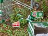 Alcohol-related harm on the rise after blanket ban lift, inquiry hears