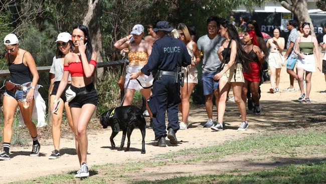 Fomo Music Festival attendees are greeted by a heavy police presence, including sniffer dogs, searching for party pills and other illegal drugs. Picture: David Swift.