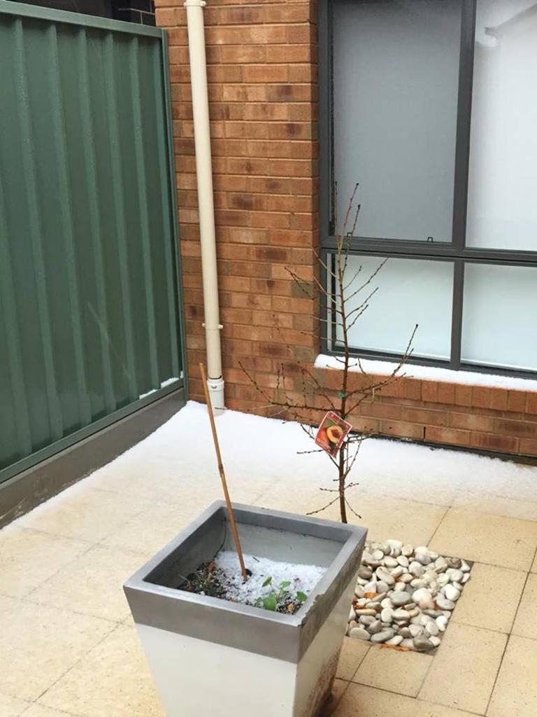 A hailstorm in Parafield Gardens left this house white. Pic: Susan Powell/Facebook