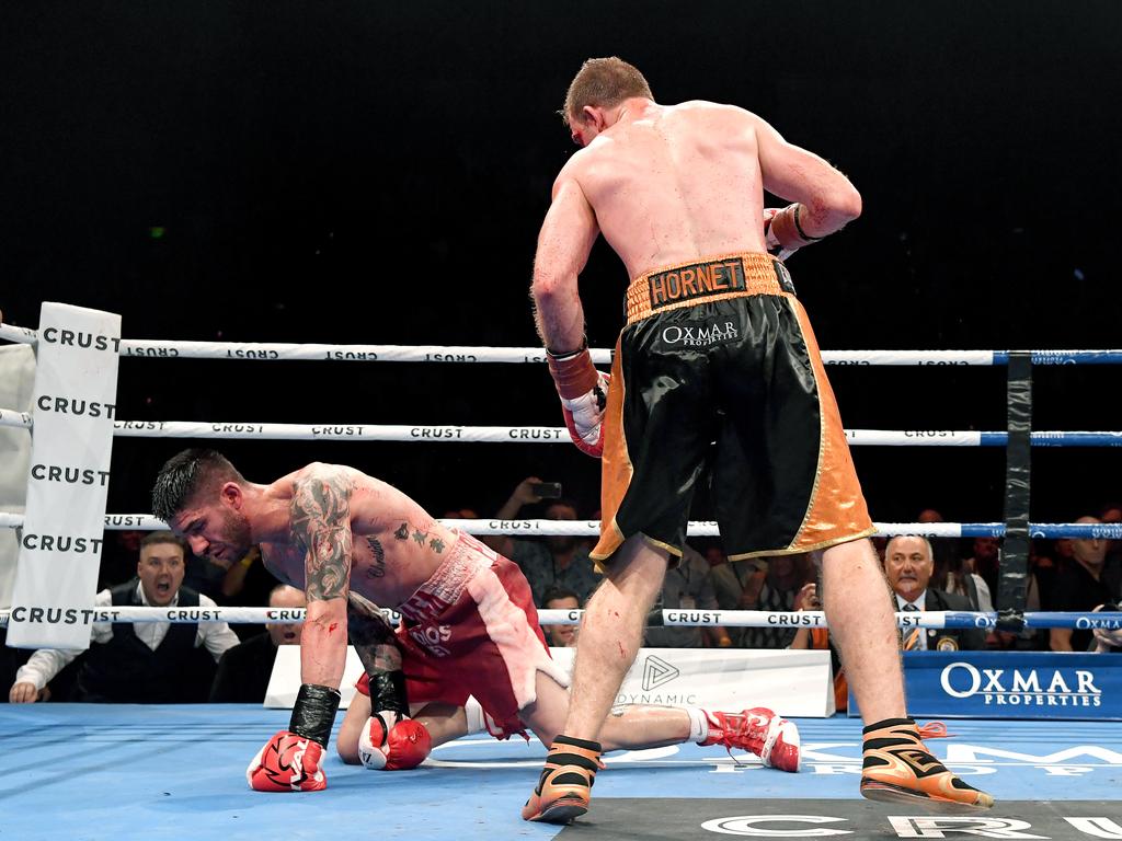 Jeff Horn knocks down Michael Zerafa. (Photo by Bradley Kanaris/Getty Images)