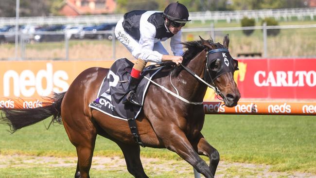 First Immortal started his long-range Melbourne Cup build-up with a quiet jumpout at Flemington last Friday. Picture: Racing Photos via Getty Images.