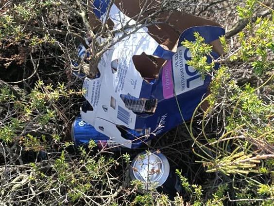 Empty alcohol containers and packaging were shoved into the foliage surrounding the swamp. Picture: Ronia Bourke