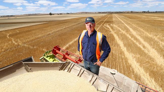 Mr McCabe said concerns about cross-contamination were a “furphy”, and those who wanted to grow produce free from GM could still do so and have it kept separate from other crops.. Picture: Tait Schmaal