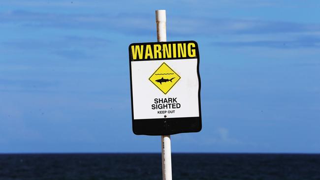 A sign warning of a shark sighting at an Australian beach.