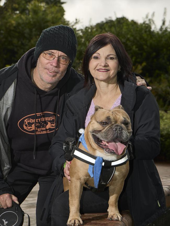 Million Paws Walk at Adelaide Botanic Gardens. Picture: Matt Loxton