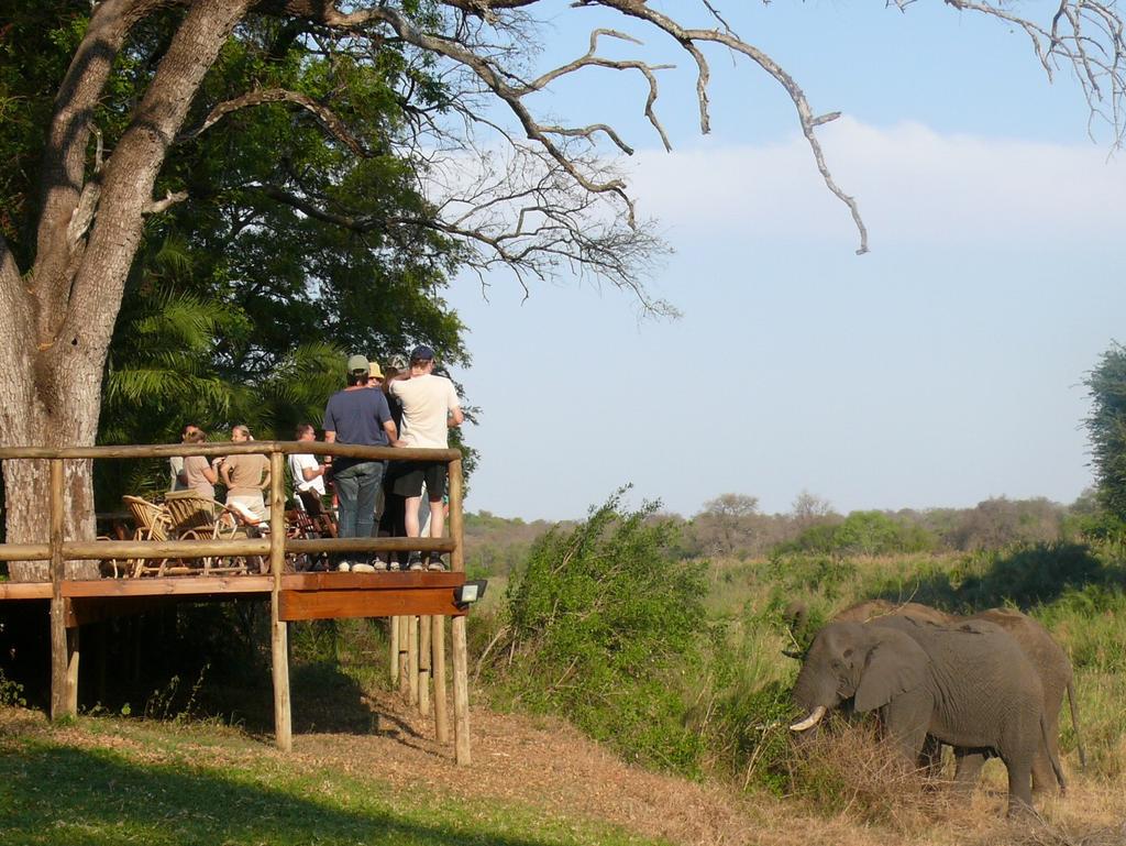 cheap south african safari packages