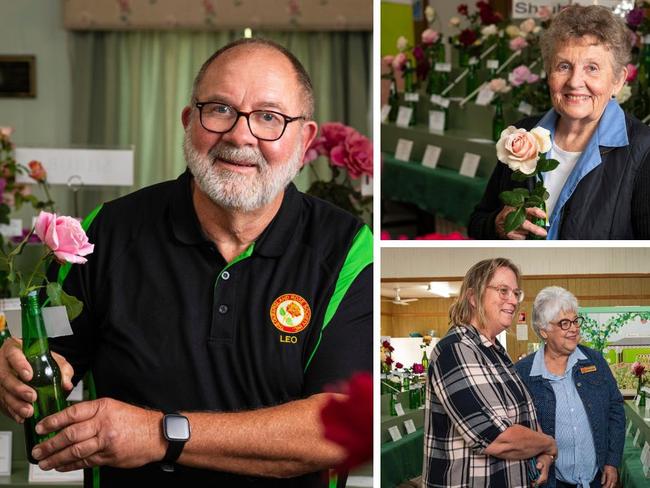 Novice grower a blooming success: Autumn Rose Show 2024