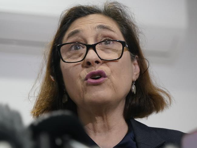 MELBOURNE,AUSTRALIA-NewsWire Photos 11 JULY, 2024: Minister for Energy and Resources Lily Lily D’Ambrosio makes an announcement regarding solar energy uptake in western suburbs . Picture: NCA NewsWire / Valeriu Campan