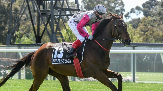 Surprise Baby failed to fire in the Melbourne Cup. Picture: Getty Images