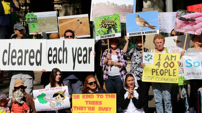 A rally outside Queensland Parliament in 2016 in support of stronger tree clearing laws. Picture: Darren England.