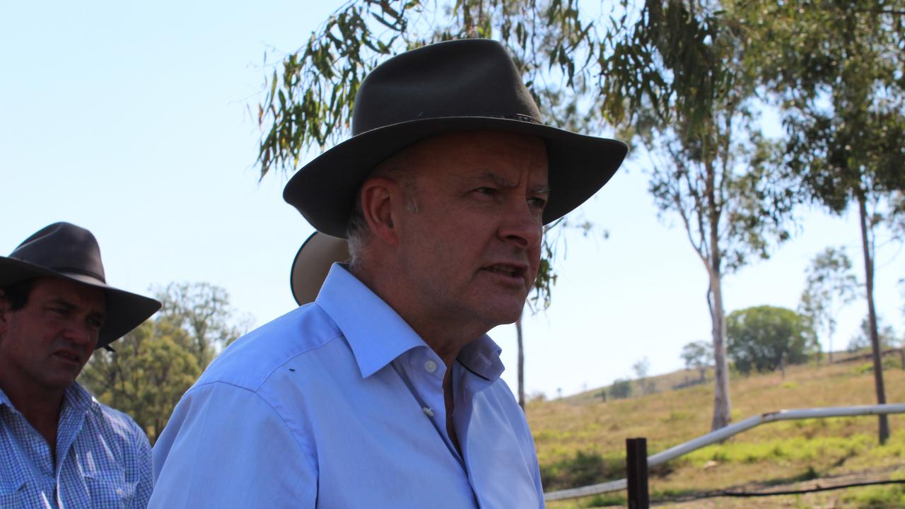 Prime Minister Anthony Albanese. Picture: Geordi Offord