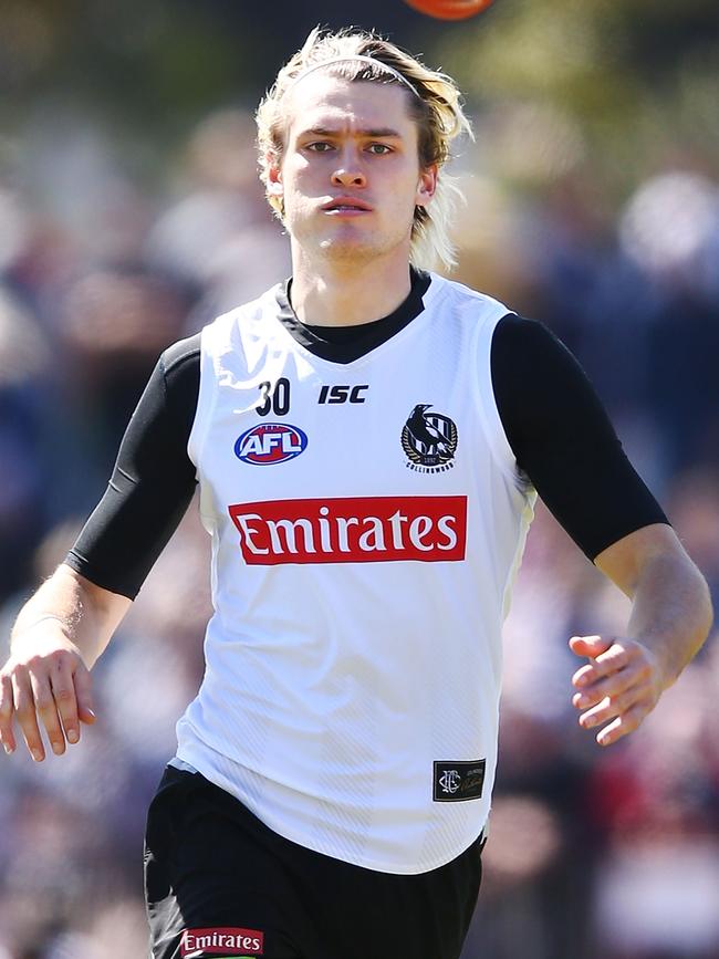 Darcy Moore is a cut-price option in both defence and forward.